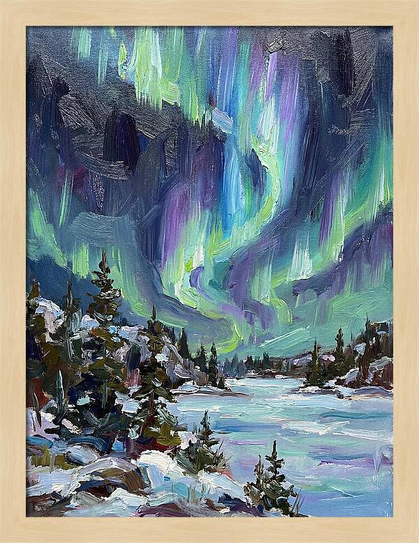 Northern Lights Spectacle