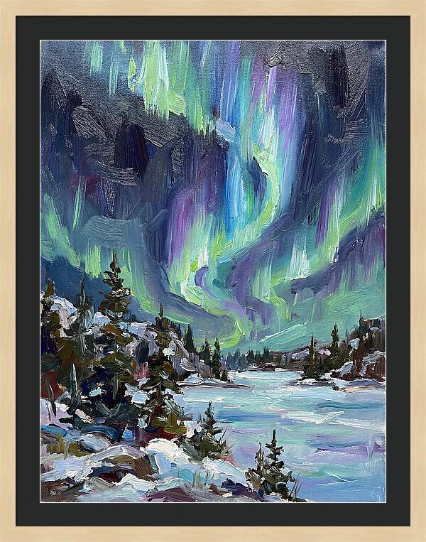 Northern Lights Spectacle