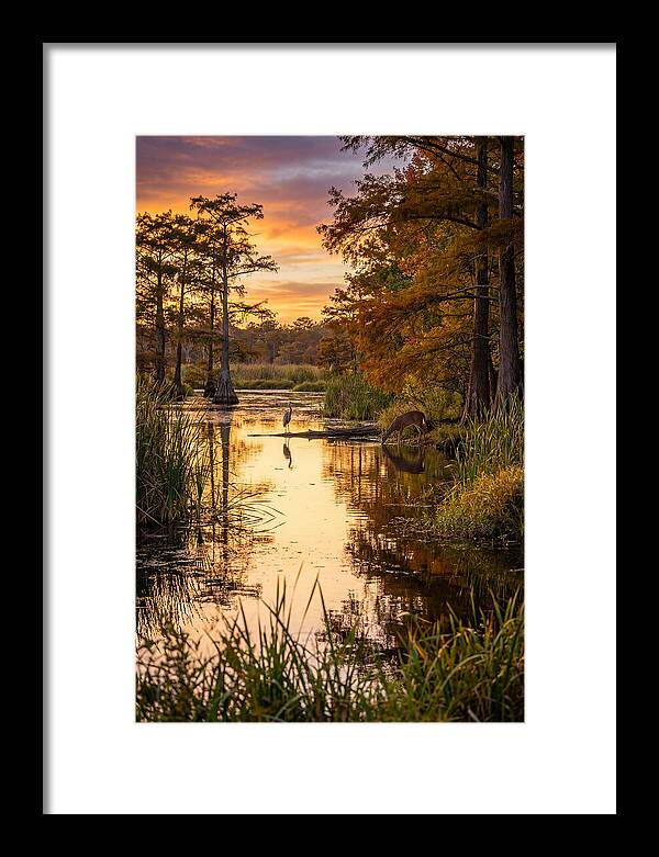 Noxubee Wildlife Refuge Serenity