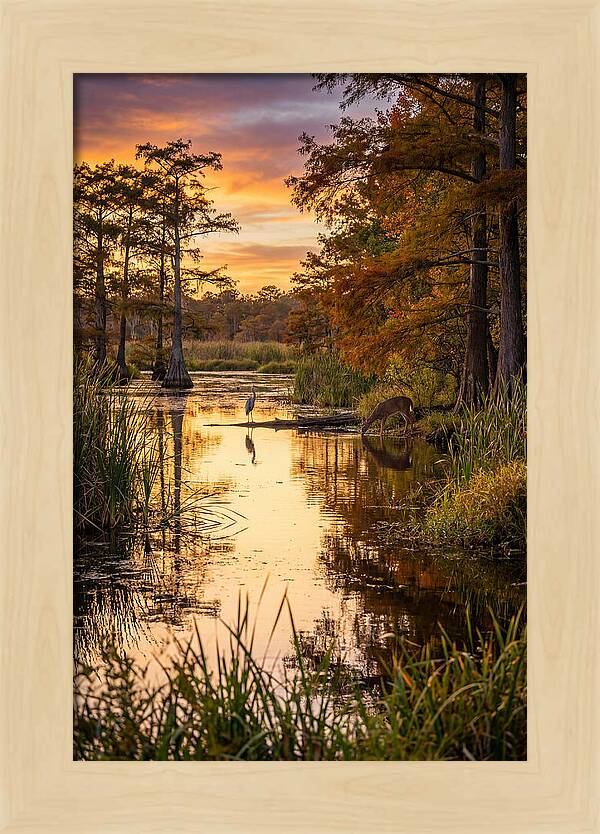 Noxubee Wildlife Refuge Serenity