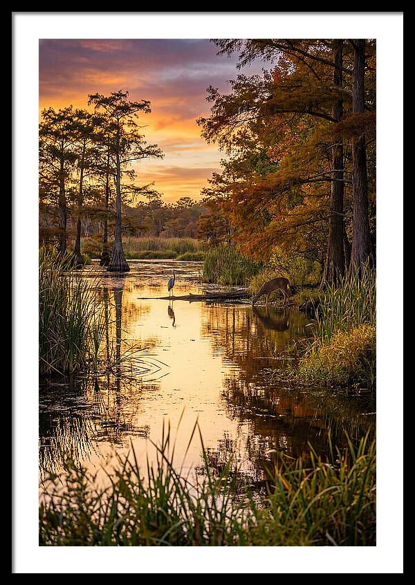 Noxubee Wildlife Refuge Serenity