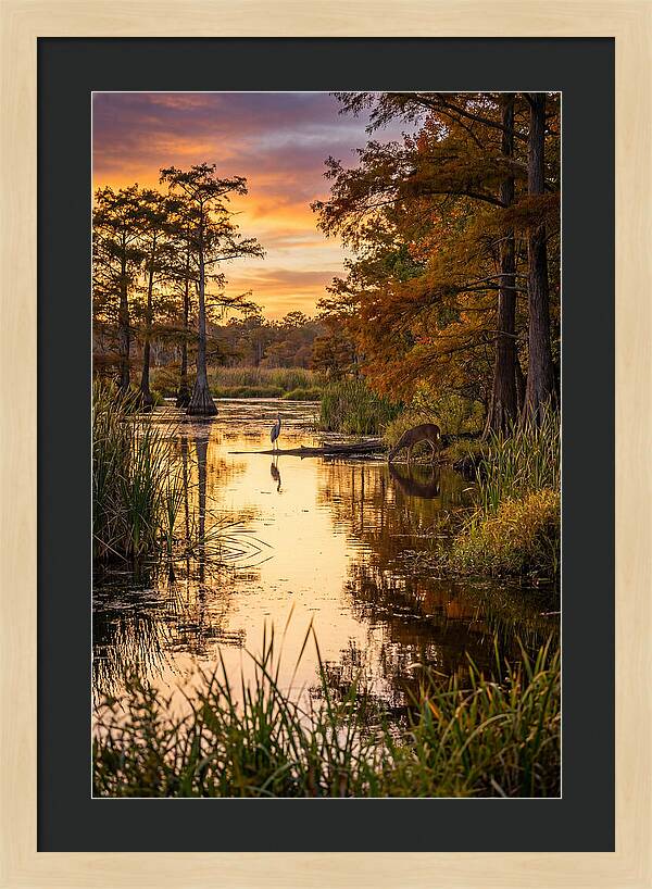 Noxubee Wildlife Refuge Serenity