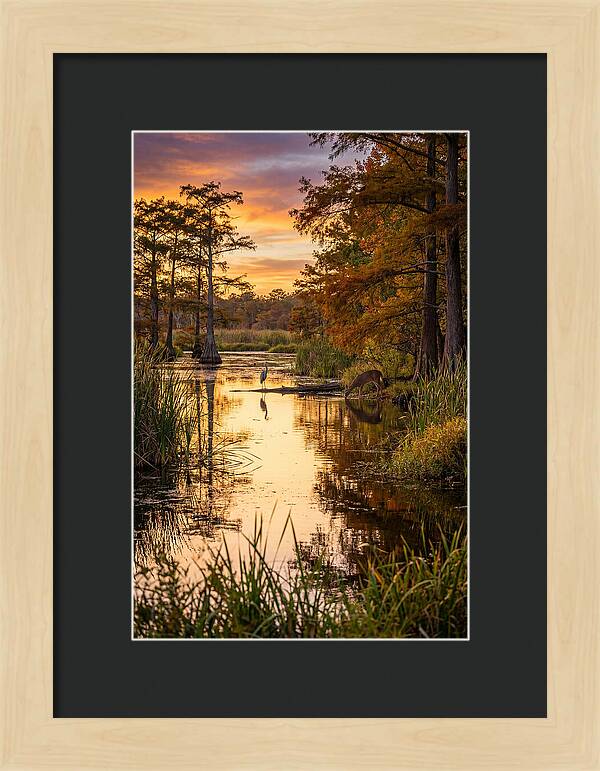 Noxubee Wildlife Refuge Serenity