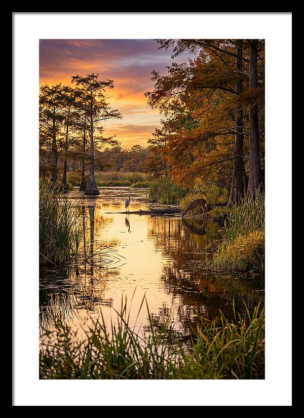 Noxubee Wildlife Refuge Serenity