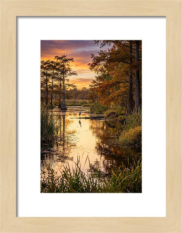 Noxubee Wildlife Refuge Serenity