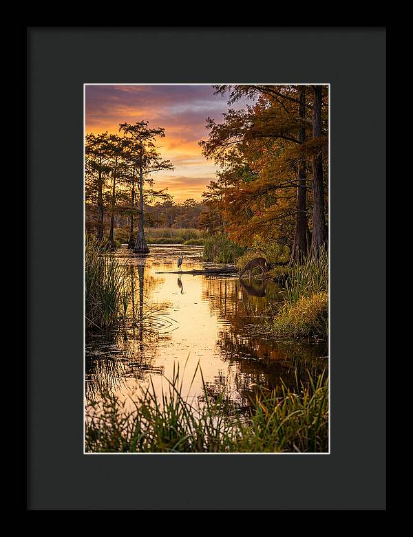 Noxubee Wildlife Refuge Serenity