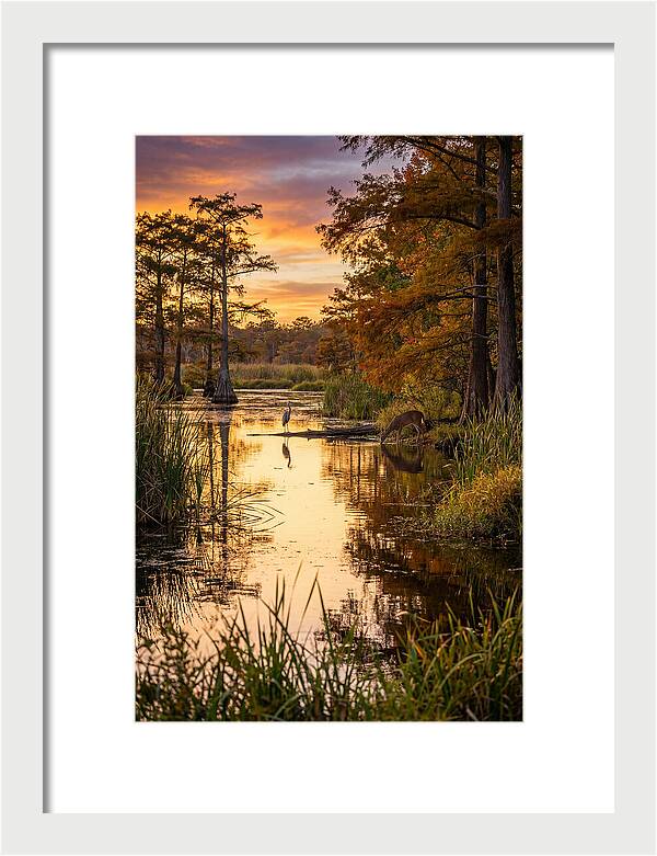 Noxubee Wildlife Refuge Serenity