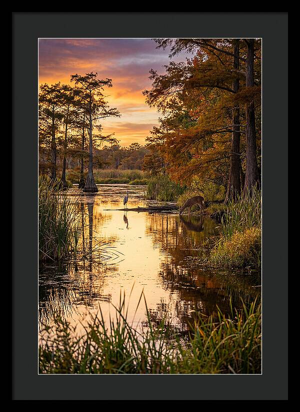 Noxubee Wildlife Refuge Serenity