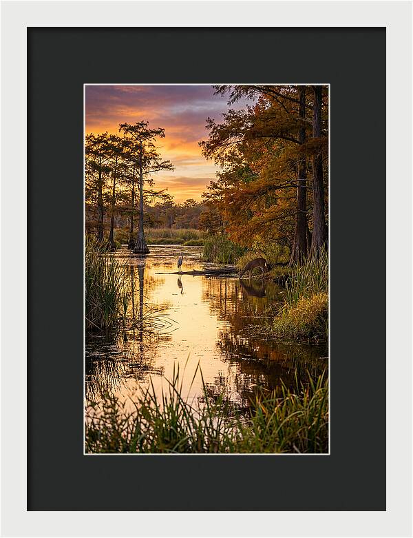 Noxubee Wildlife Refuge Serenity