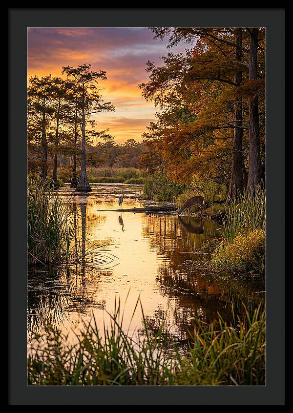 Noxubee Wildlife Refuge Serenity