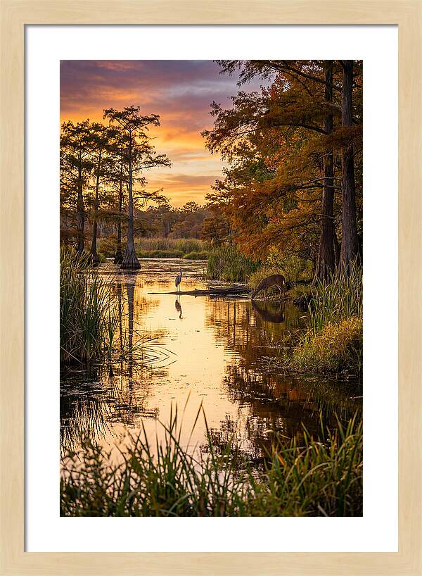 Noxubee Wildlife Refuge Serenity