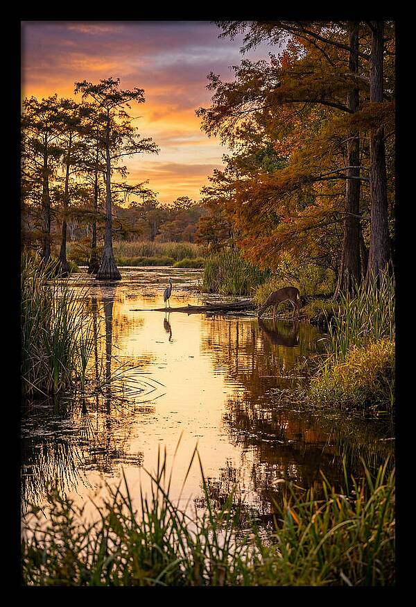Noxubee Wildlife Refuge Serenity