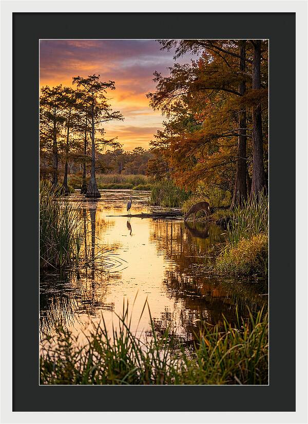 Noxubee Wildlife Refuge Serenity