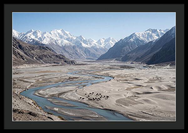 Nubra Valley Serenity