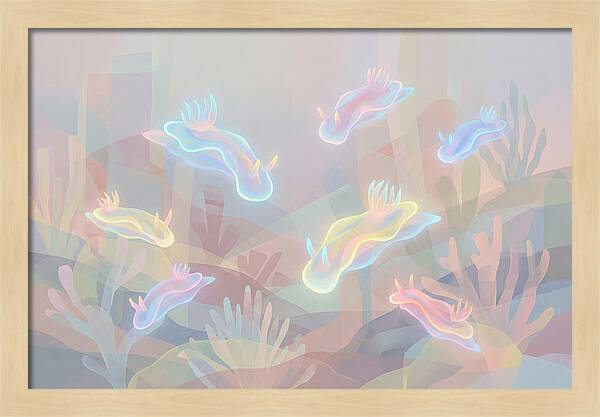 Nudibranchs In Neon Colors
