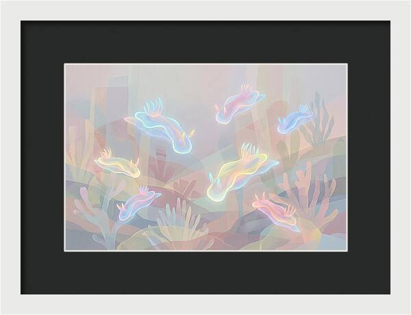 Nudibranchs In Neon Colors
