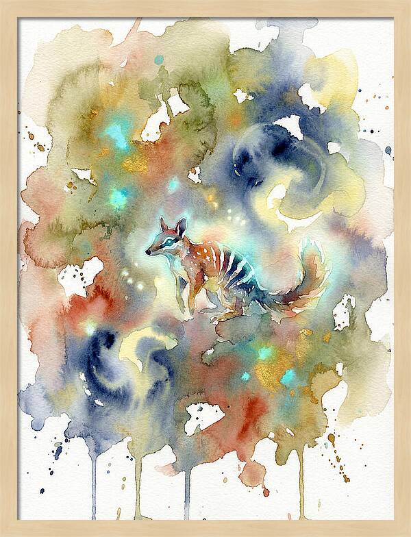 Numbat In Dreamy Colors
