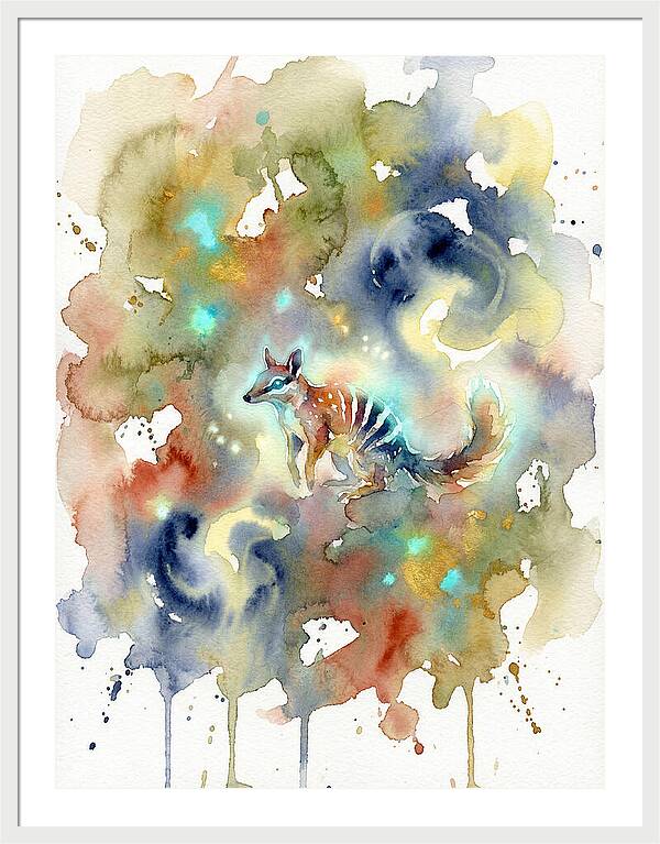 Numbat In Dreamy Colors