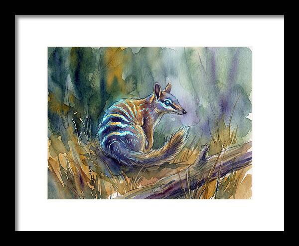 Numbat In Natures Embrace