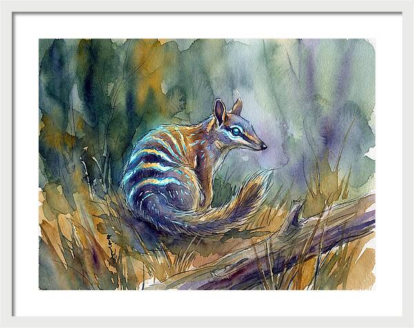 Numbat In Natures Embrace