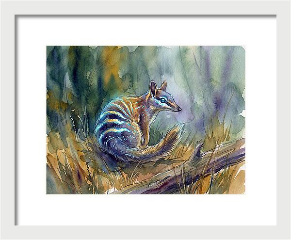 Numbat In Natures Embrace
