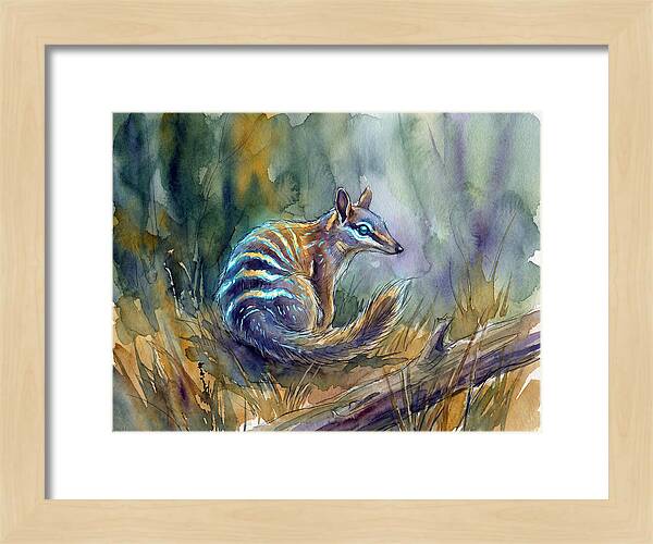 Numbat In Natures Embrace