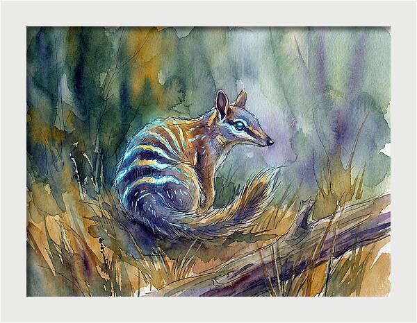 Numbat In Natures Embrace