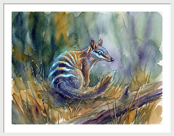 Numbat In Natures Embrace