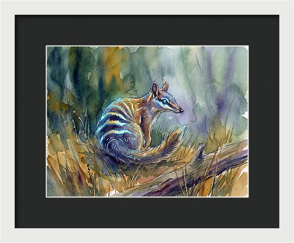Numbat In Natures Embrace