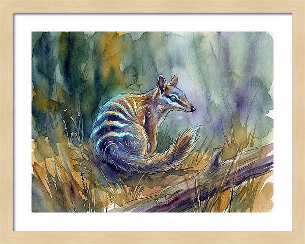 Numbat In Natures Embrace