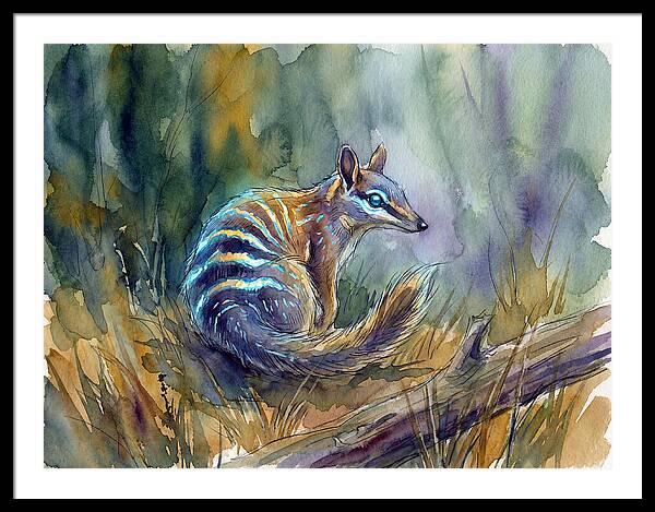 Numbat In Natures Embrace