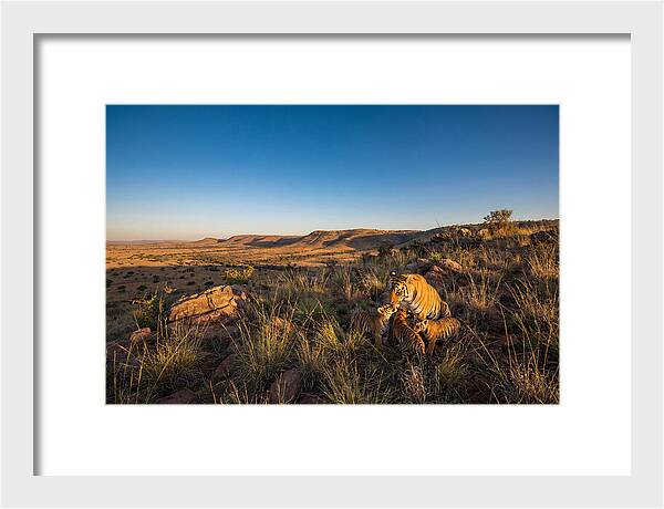Nurturing Moments In Nature