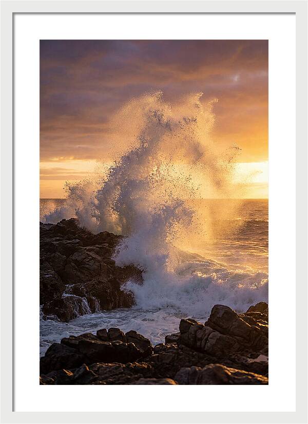 Ocean Mist At Dawn