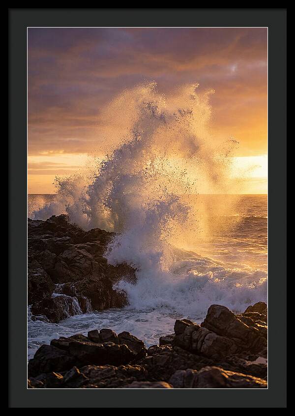 Ocean Mist At Dawn