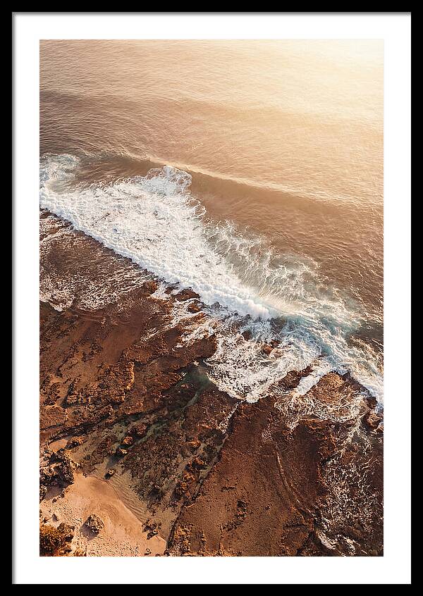 Reef Art