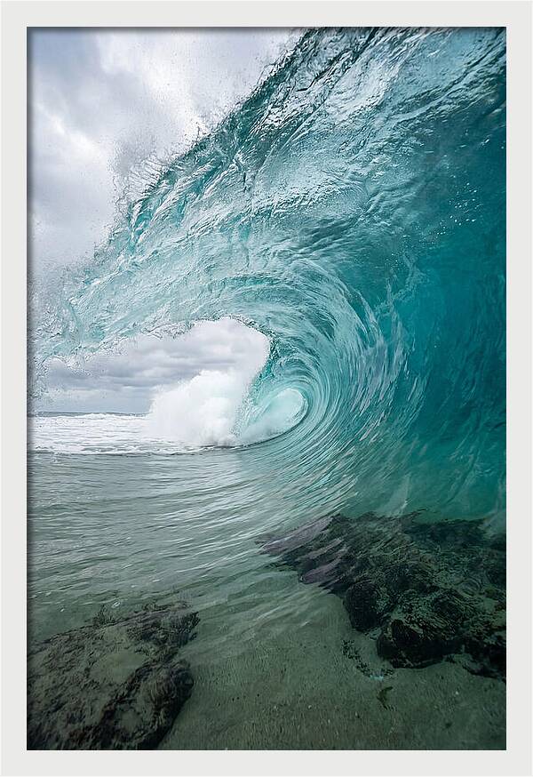 Oceanic Dreamscape