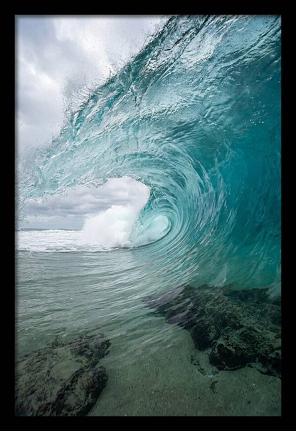 Oceanic Dreamscape