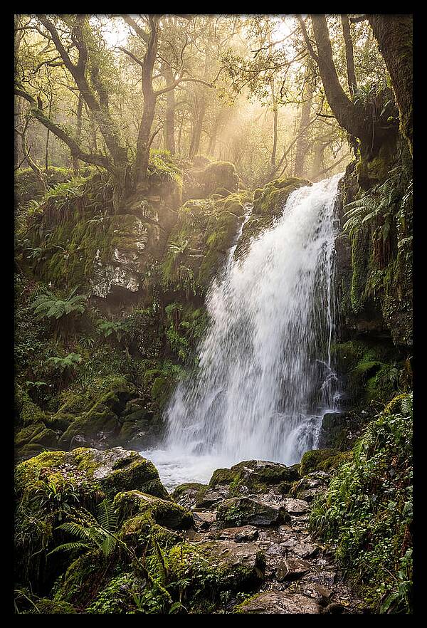 Ohiopyle Falls Serenity