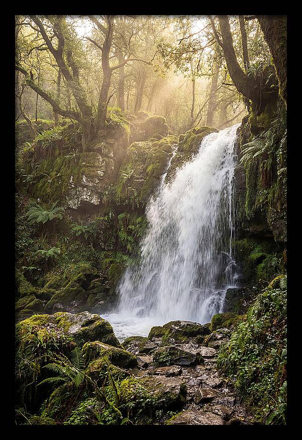 Ohiopyle Falls Serenity