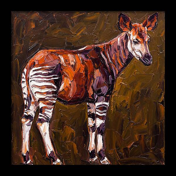 Okapi In Bold Colors
