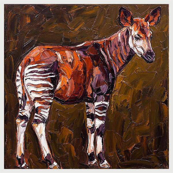 Okapi In Bold Colors