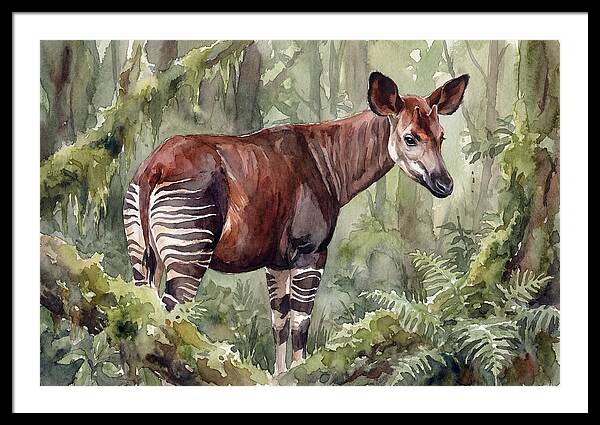 Okapi In Lush Greenery