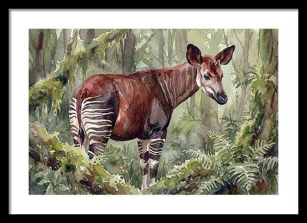 Okapi In Lush Greenery