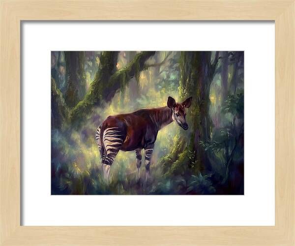 Okapi In The Forest
