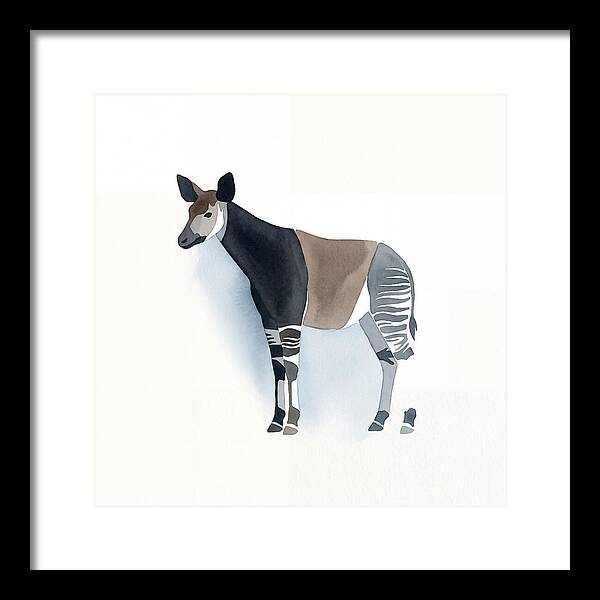 Okapi Minimalist