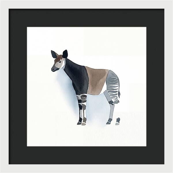Okapi Minimalist