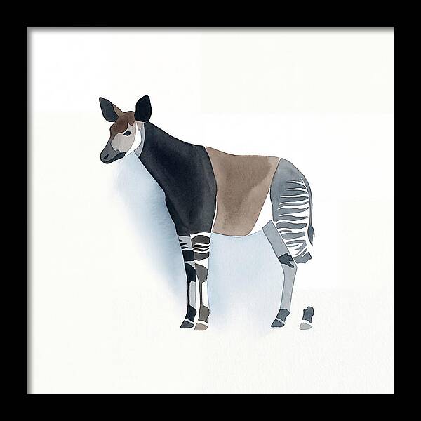 Okapi Minimalist
