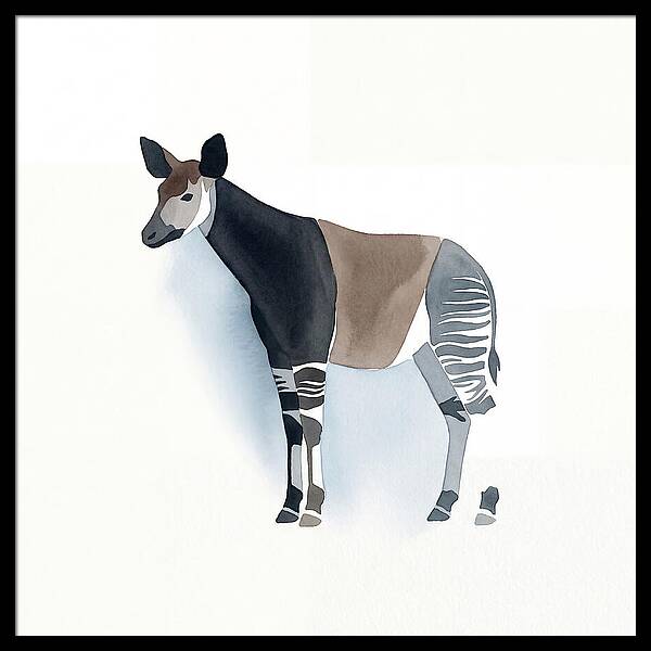 Okapi Minimalist