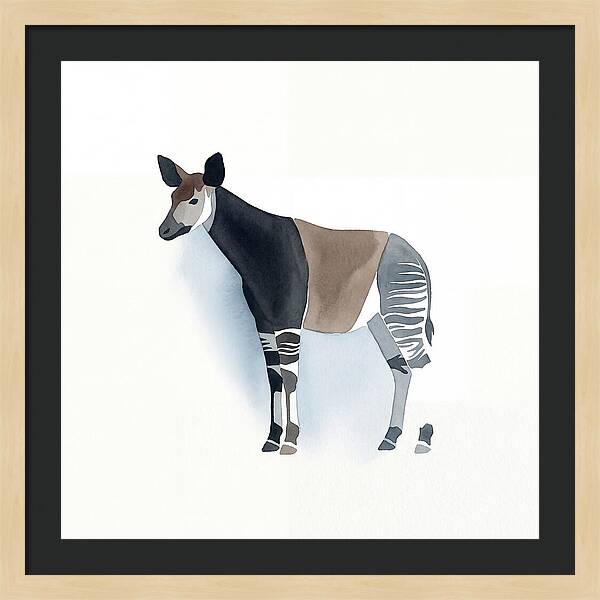 Okapi Minimalist