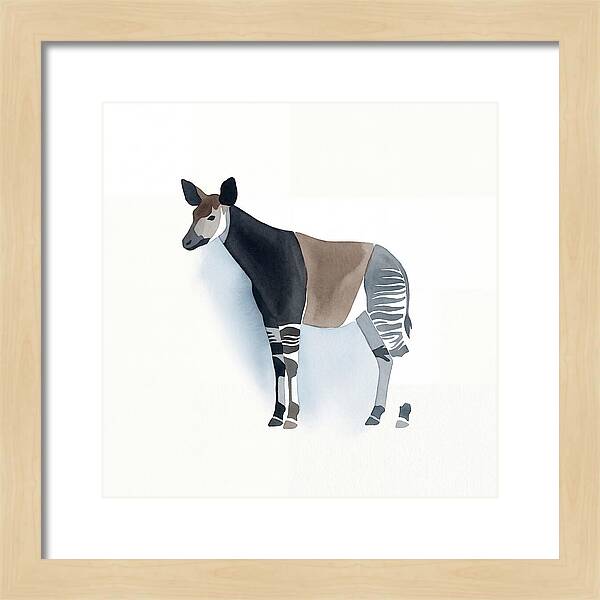 Okapi Minimalist